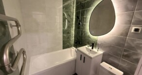 Товарищеская 33